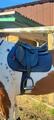 Selle prestige roma jump