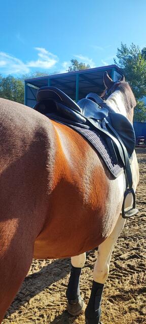 Selle prestige roma jump