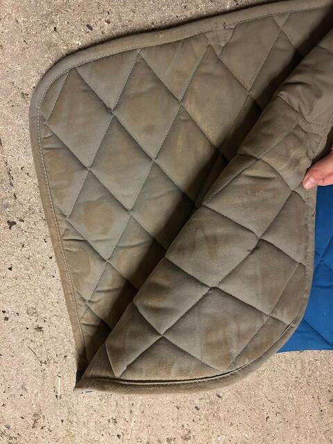 tapis de dressage