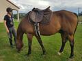 Ensemble equi