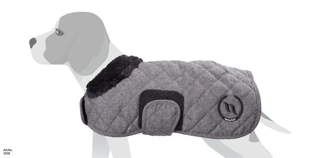 Manteau chien hiver