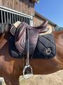 Selle de devoucoux Harmonie