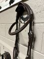 Bridon muserolle croisée CWD taille 3-cheval
