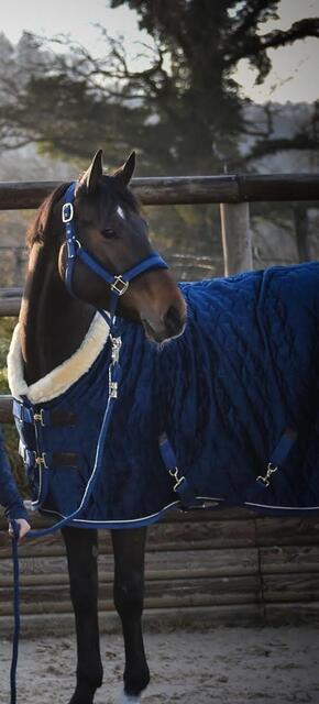 couverture Kentucky velvet marine