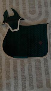 Ensemble kentucky