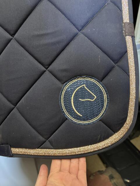 Tapis equit eme