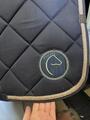 Tapis equit eme