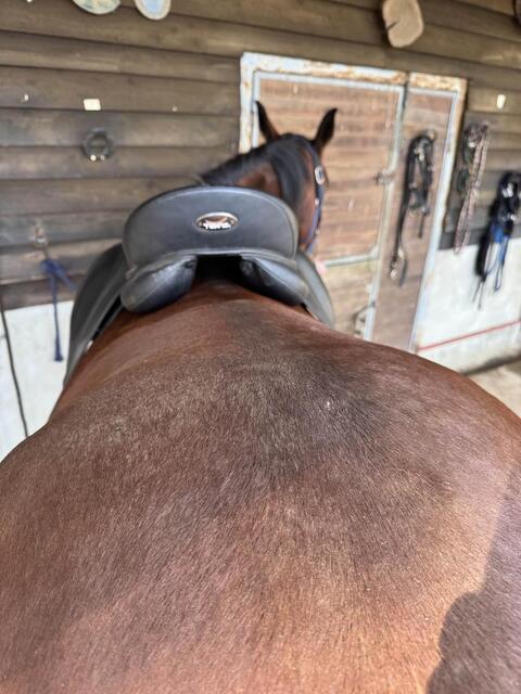 selle Tekna