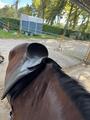 selle Tekna