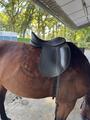 selle Tekna