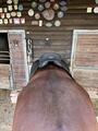 selle Tekna