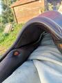Selle childeric