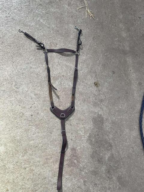 collier de chasse