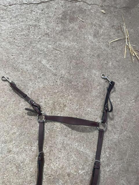collier de chasse