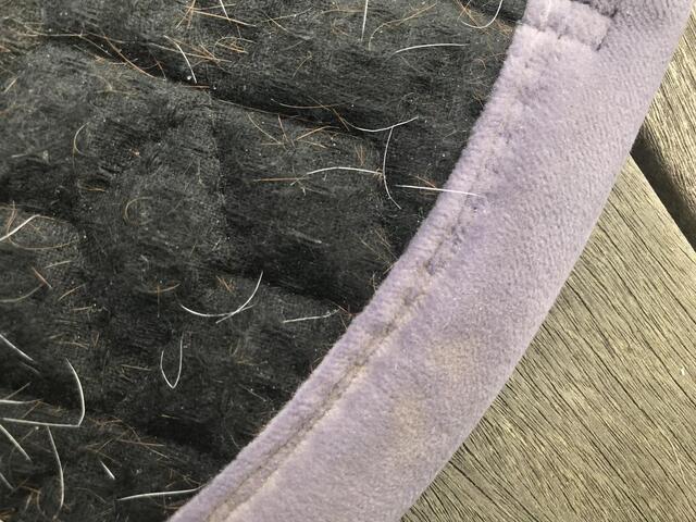 tapis kentucky velvet