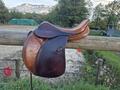 Selle mixte 17"5
