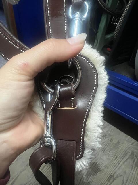 collier de chasse martingale 5 point