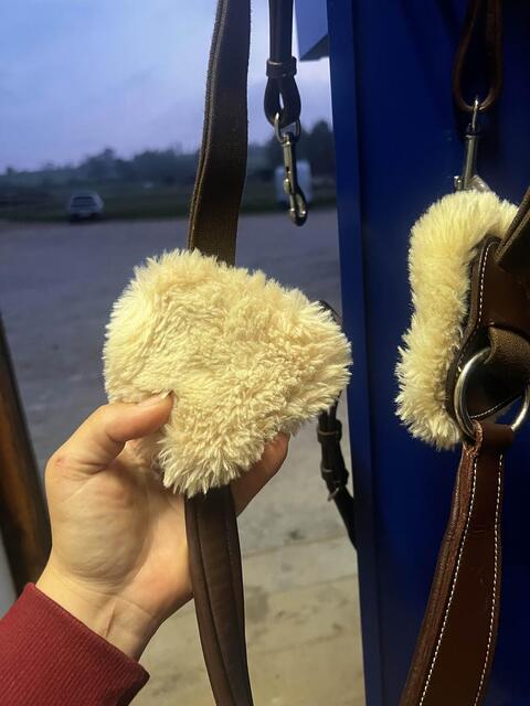 collier de chasse martingale 5 point