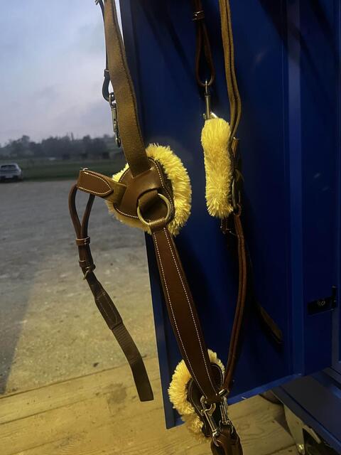 collier de chasse martingale 5 point