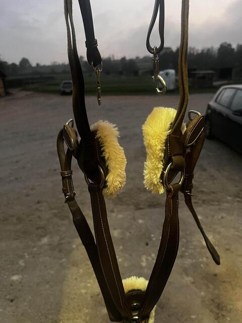 collier de chasse martingale 5 point