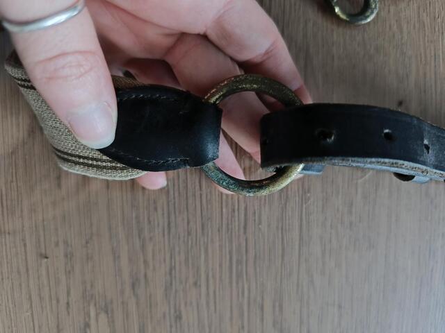 Collier de chasse martingale