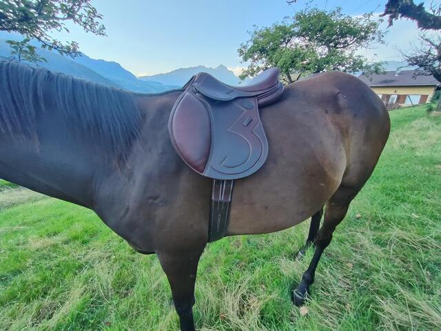 Selle signature Antarès