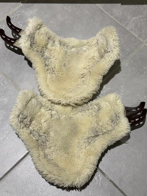 Ensemble Veredus Carbon gel vento save the sheep