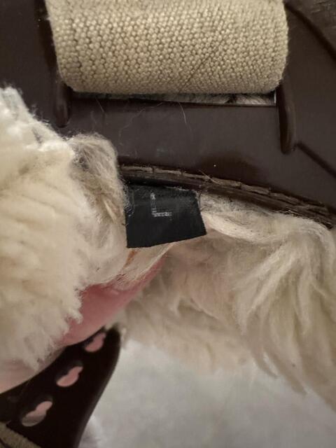 Ensemble Veredus Carbon gel vento save the sheep