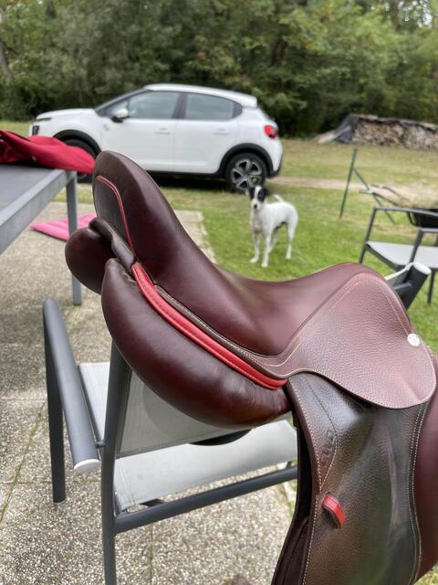 Selle CWD Optim 2019 17,5