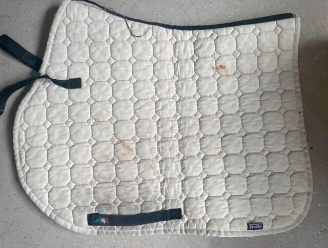 tapis equiline