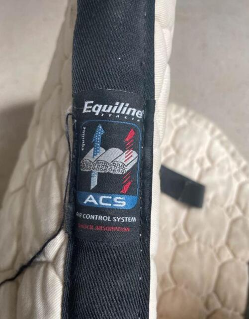 tapis equiline