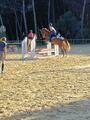 tapis couper sport