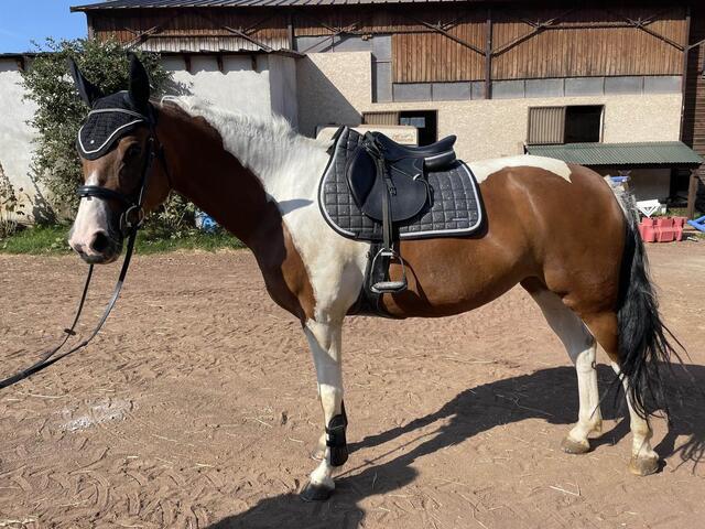 bonnet résille
