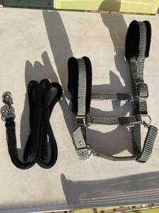 Licol kaki moumoute noire