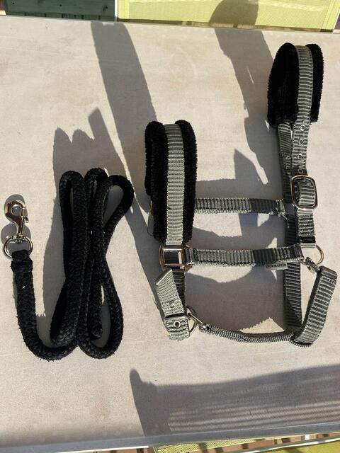 Licol kaki moumoute noire