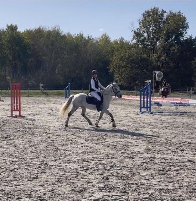 Casque équitation