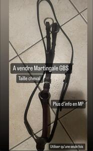 Martingale GBS