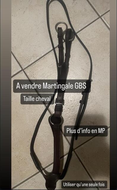 Martingale GBS