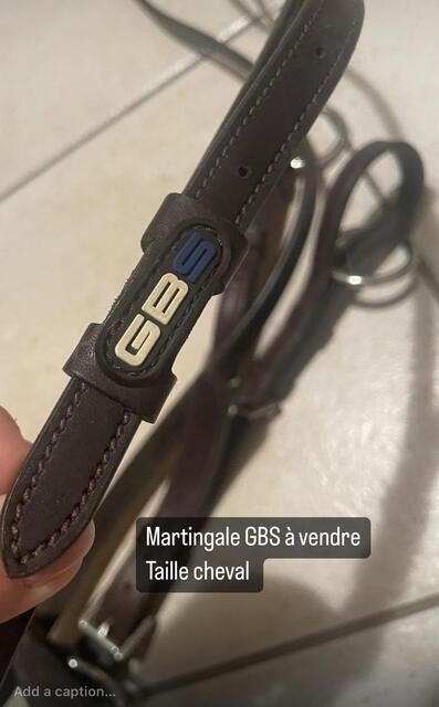 Martingale GBS
