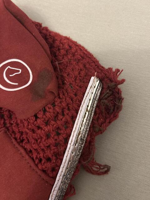 bonnet equitheme bordeaux