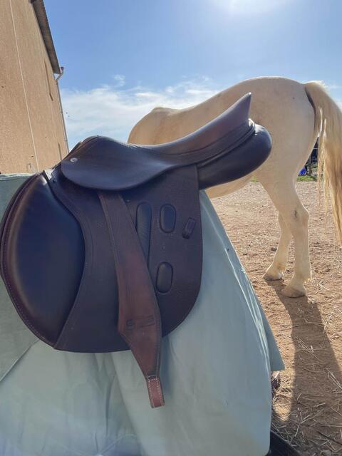 selle 16’’5 cso