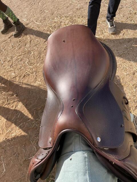 selle 16’’5 cso
