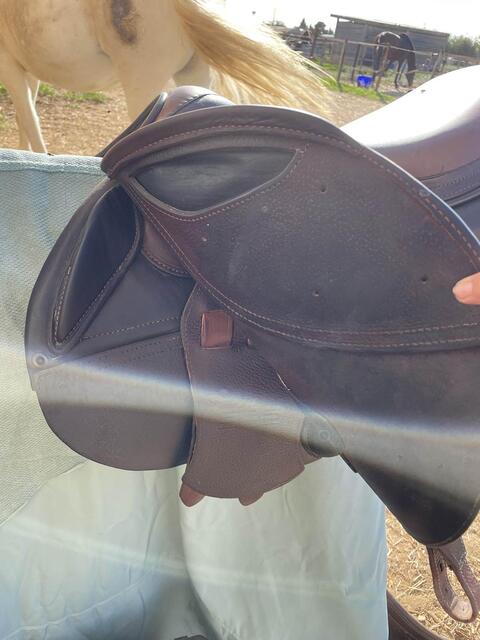 selle 16’’5 cso