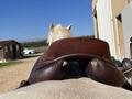 selle 16’’5 cso