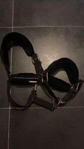 Licol noir strass