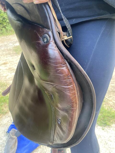 Selle mixte Prestige New Versailles
