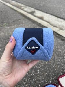 Bande de polo lemieux