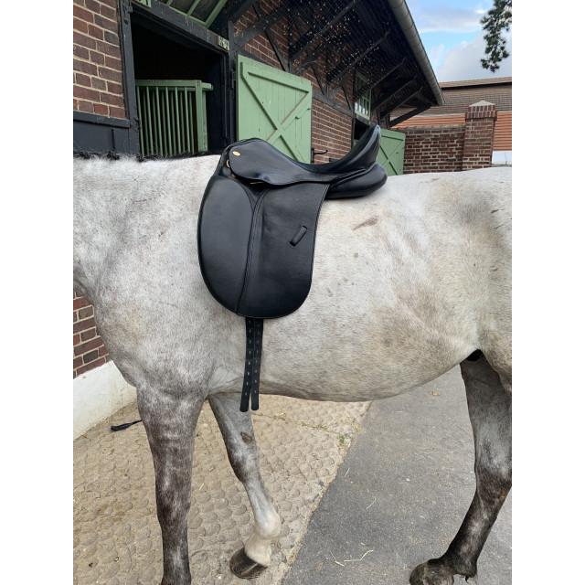 Selle Dressage Eric Thomas AIX