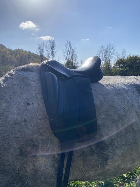 Selle de dressage