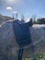 Selle de dressage
